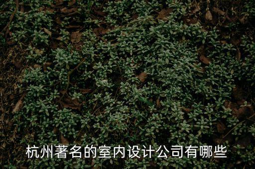 杭州著名的室內設計公司有哪些