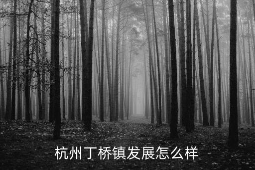 杭州丁橋鎮(zhèn)發(fā)展怎么樣