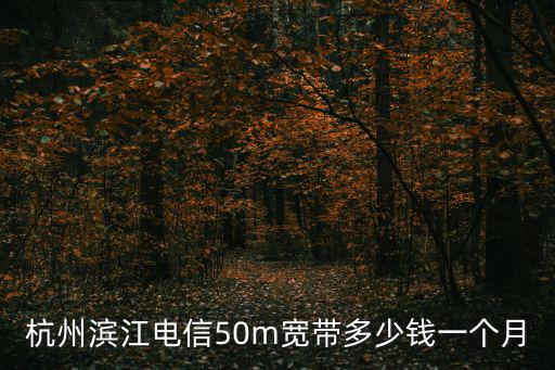 杭州濱江電信50m寬帶多少錢一個(gè)月