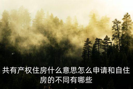 共有產權住房什么意思怎么申請和自住房的不同有哪些