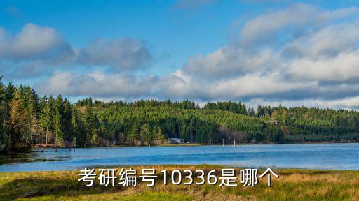 杭州電子科技大學研究生招生網，考研編號10336是哪個