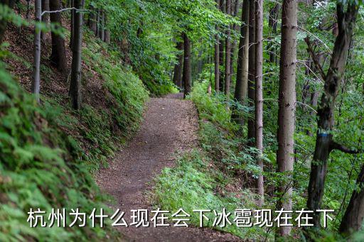 杭州為什么現在會下冰雹現在在下
