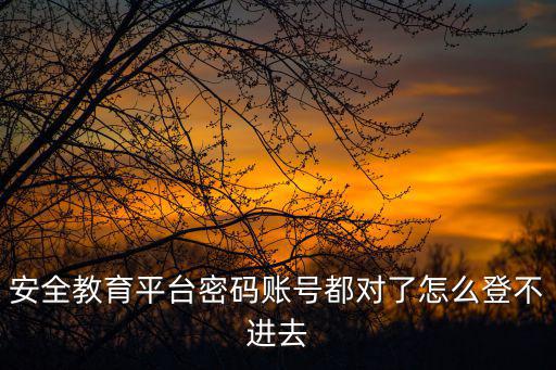 安全教育平臺密碼賬號都對了怎么登不進(jìn)去
