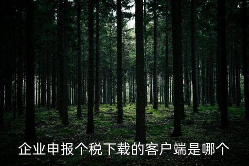 企業(yè)申報(bào)個(gè)稅下載的客戶端是哪個(gè)