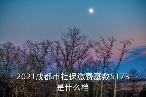 2021成都市社保繳費基數5173是什么檔