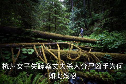 杭州女子失蹤案丈夫殺人分尸兇手為何如此殘忍