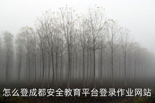 怎么登成都安全教育平臺登錄作業(yè)網(wǎng)站