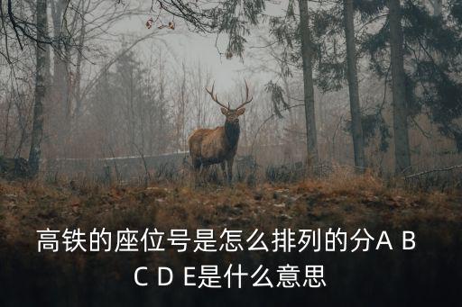 高鐵的座位號是怎么排列的分A B C D E是什么意思