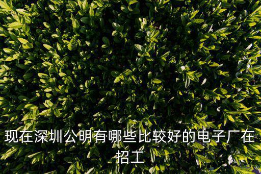現在深圳公明有哪些比較好的電子廠在招工