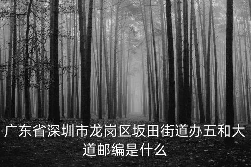 廣東省深圳市龍崗區(qū)坂田街道辦五和大道郵編是什么