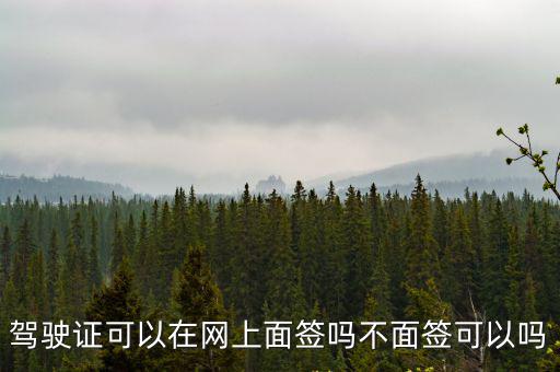 駕駛證可以在網(wǎng)上面簽嗎不面簽可以嗎