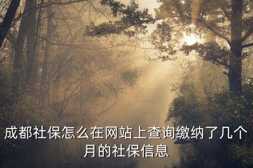 成都社保怎么在網站上查詢繳納了幾個月的社保信息