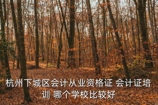 杭州下城區(qū)會計從業(yè)資格證 會計證培訓(xùn) 哪個學(xué)校比較好