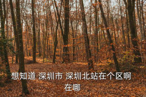 想知道 深圳市 深圳北站在個區啊 在哪