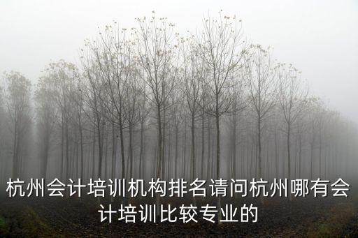 杭州會計培訓(xùn)機構(gòu)排名請問杭州哪有會計培訓(xùn)比較專業(yè)的