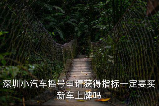 深圳小汽車搖號，深圳小汽車搖號申請獲得指標(biāo)一定要買新車上牌嗎