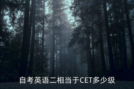 自考英語二相當于CET多少級
