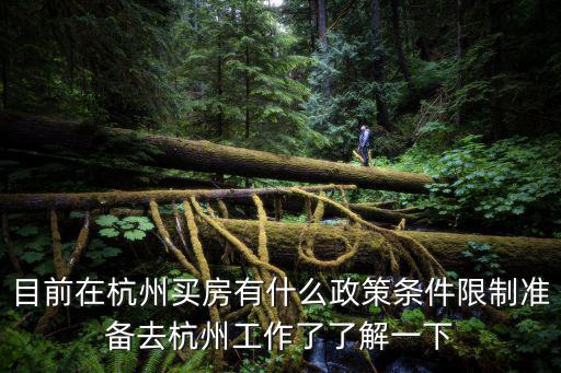 目前在杭州買房有什么政策條件限制準備去杭州工作了了解一下