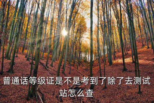 普通話等級證是不是考到了除了去測試站怎么查
