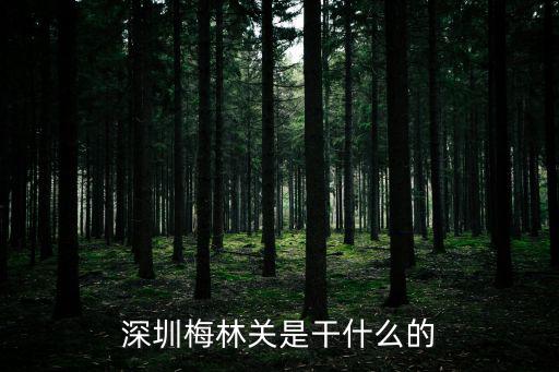 深圳梅林關是干什么的