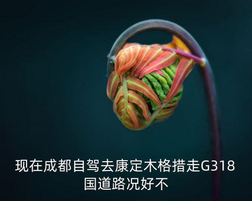 現在成都自駕去康定木格措走G318國道路況好不