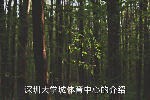 深圳大學城體育中心的介紹