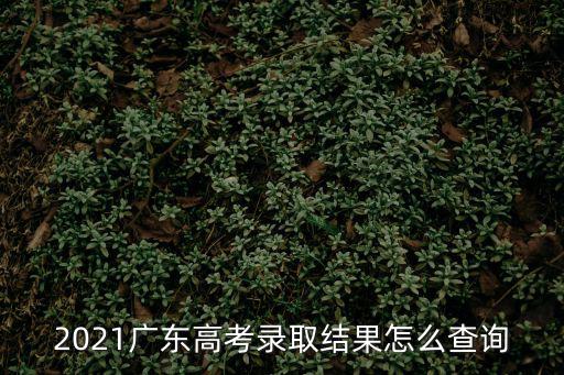 2021廣東高考錄取結(jié)果怎么查詢