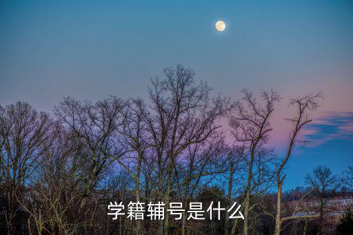 綜合素質(zhì)評價(jià)平臺登錄，學(xué)籍輔號是什么