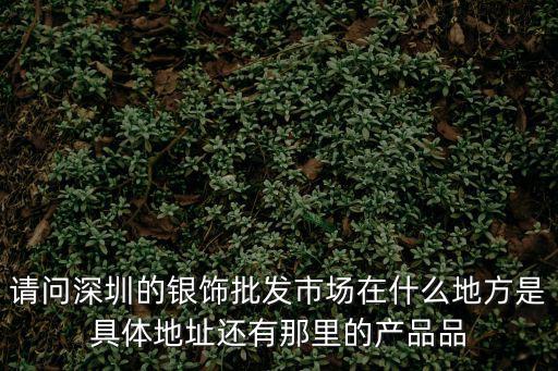 深圳銀飾，請問深圳的銀飾批發市場在什么地方是具體地址還有那里的產品品