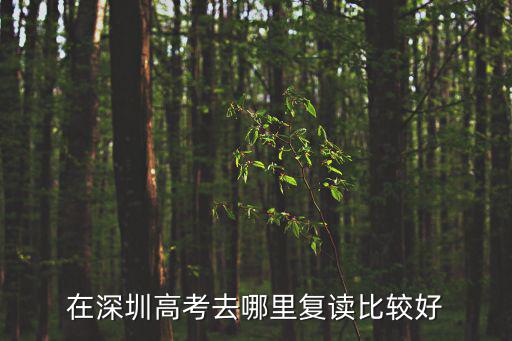 深圳高考復讀，深圳高三復讀去哪好