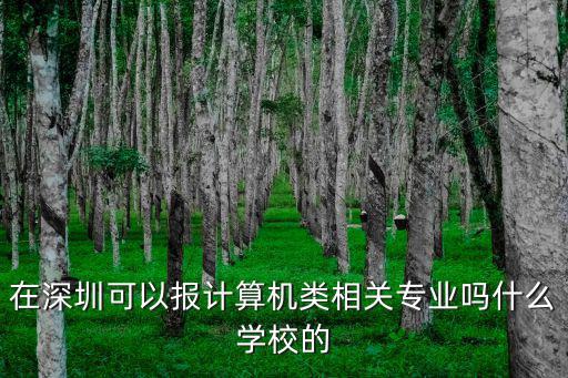 在深圳可以報計算機類相關專業嗎什么學校的