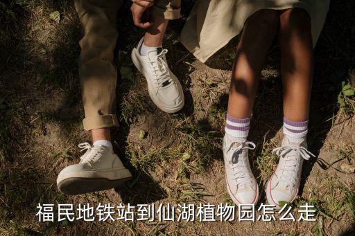福民地鐵站到仙湖植物園怎么走