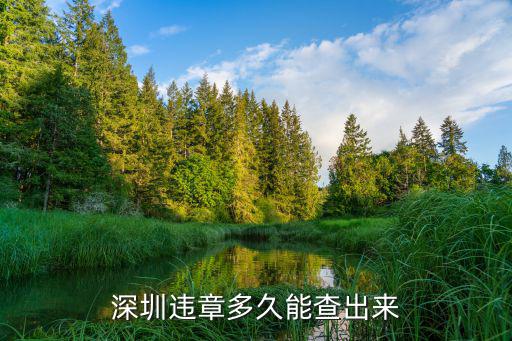 深圳違章多久能查出來