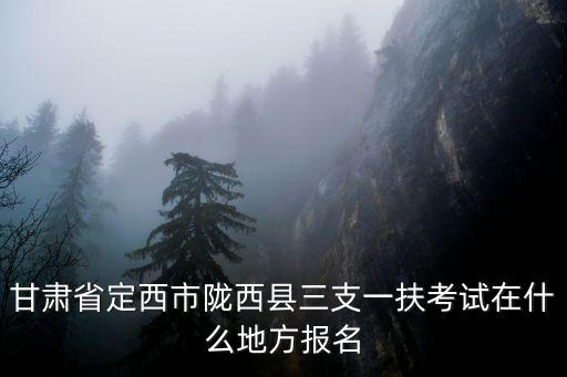 三支一扶報名入口官網，甘肅省定西市隴西縣三支一扶考試在什么地方報名