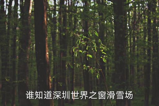 誰知道深圳世界之窗滑雪場