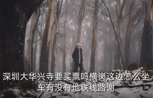 深圳大華興寺要買票嗎橫崗這邊怎么坐車有沒有地鐵線路謝