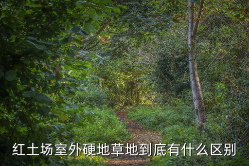 紅土場室外硬地草地到底有什么區別