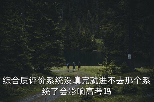 綜評系統(tǒng)，大學(xué)生綜合測評自評一項錄入系統(tǒng)后能不能改了