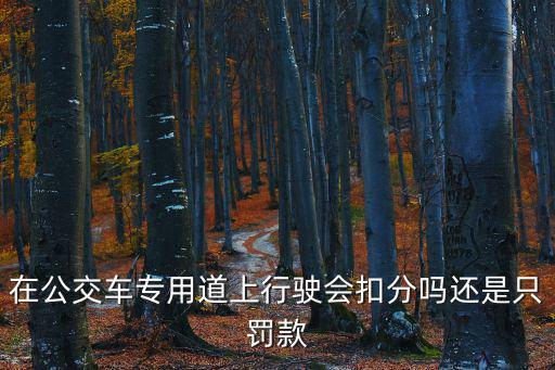 公交專用道，公交專用道和公交專用車道有什么區(qū)別