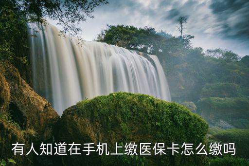 有人知道在手機上繳醫保卡怎么繳嗎