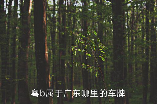 粵b屬于廣東哪里的車牌