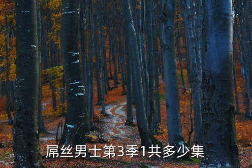 屌絲男士第3季1共多少集