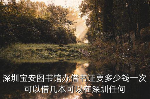 深圳寶安圖書館辦借書證要多少錢一次可以借幾本可以在深圳任何