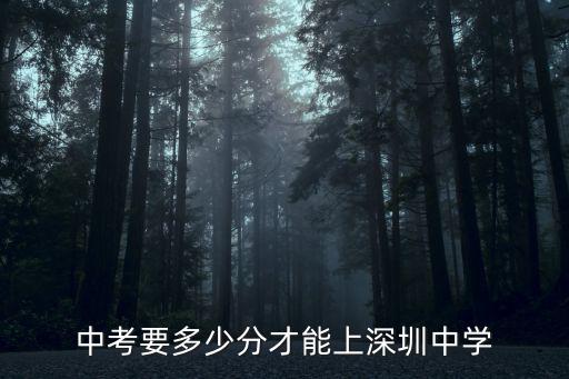 中考要多少分才能上深圳中學