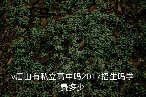 中考管理系統(tǒng)，v唐山有私立高中嗎2017招生嗎學(xué)費多少