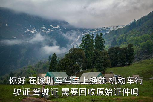 車駕寶，駕寶在哪里交費