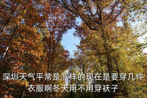 深圳天氣，請問深圳的天氣是怎樣的呢風(fēng)向