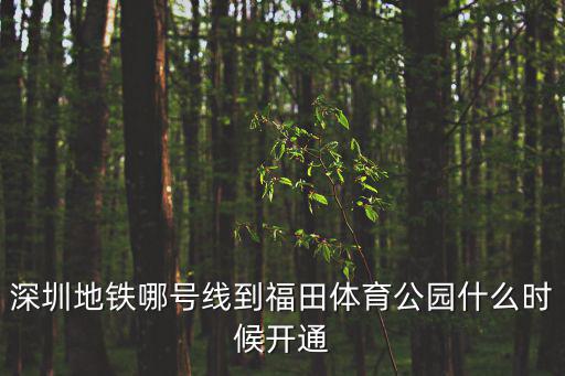 深圳地鐵哪號線到福田體育公園什么時候開通