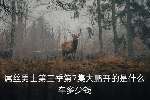 屌絲男士第三季第7集大鵬開的是什么車多少錢