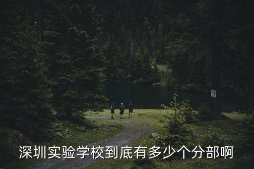 深圳實驗學校到底有多少個分部啊